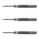 TARGET(ターゲット) DIMITRI VAN DEN BERGH ECHO SWISS POINT STEEL 24g <190286> ディミトリ・ヴァ...
