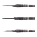 TARGET(ターゲット) NATHAN ASPINALL×ECHO SWISS POINT STEEL 23g <190290> ネイサン・アスピナル選手モデ...