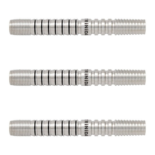 TRiNiDAD PRO(トリニダード プロ) Locche Type2(ローチェ タイプ2) 2BA 國木裕介選手モデル　(ダーツ バレル ダーツセット)