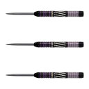 DYNASTY(ダイナスティー) ASTRA DARTS DRAGOON4(ドラグーン4) STEEL 森窪龍己選手モデル (ダーツ バレル ダーツセット)