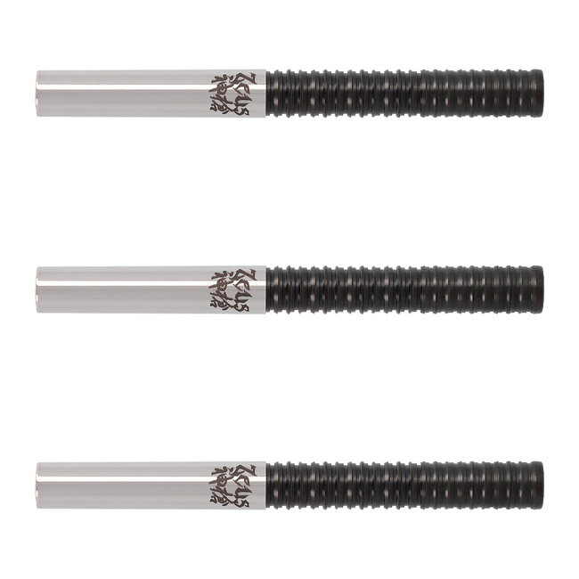 S4-DARTS(エスフォーダーツ) ゼウス神槍 黒雷 2BA　(ダーツ バレル ダーツセット)