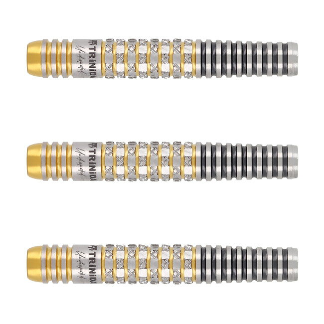 TRiNiDAD(トリニダード) Undisputed RICARDO α(リカルド アルファ) 2BA 浅田斉吾選手モデル　(ダーツ バレル ダーツセット)