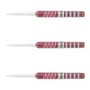 TARGET JAPAN(ターゲットジャパン) ENDEAVOUR G2(エンデバー ジェネレーション2) SWISS POINT STEEL 24g <190...