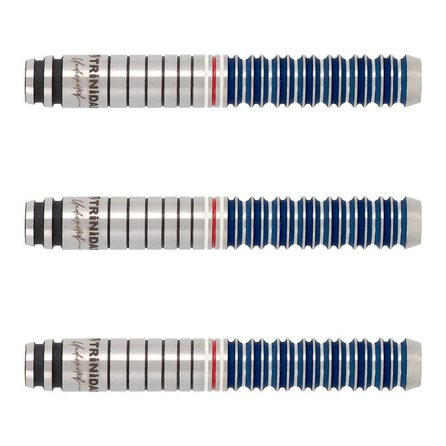 TRiNiDAD(トリニダード) THE ROYAL 2024 Gomez Type16(ゴメス タイプ16) 2BA 山田勇樹選手モデル　(ダーツ バレル ダーツセット)