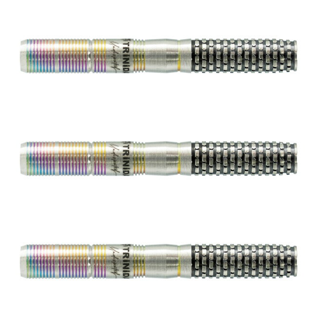 TRiNiDAD(トリニダード) Undisputed HUGO Type2(ヒューゴ タイプ2) 2BA ヒューゴ・リョン選手モデル　(ダーツ バレル ダーツセット)