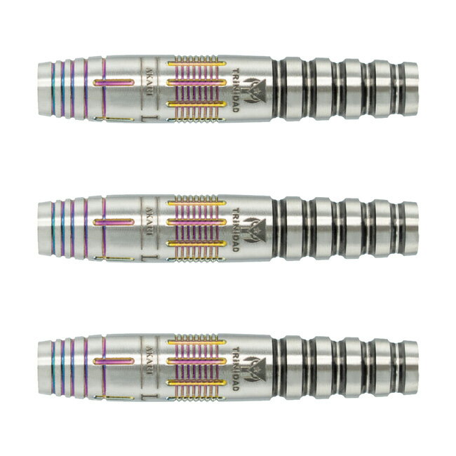 TRiNiDAD×Ryu(トリニダード×リュウ) AKARI LEGACY3(アカリレガシー3) 2BA 大城明香利モデル　(ダーツ バレル ダーツセット)