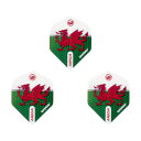 Winmau(ウィンモウ) Flight Mega Standard Wales(ウェールズ) スタンダード (ダーツ フライト)