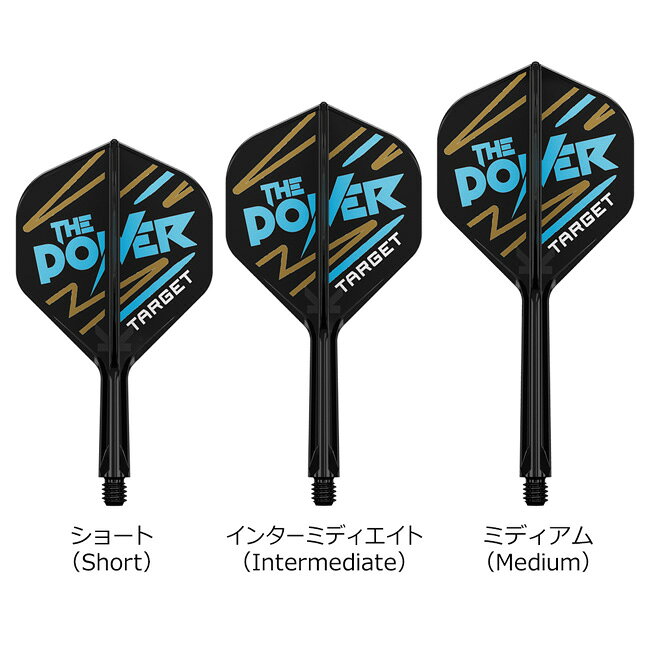 ダーツ専門店 カウントアップのTARGET(ターゲット) PHIL TAYLOR K-FLEX スタンダード ブラック フィル・テイラー選手モデル　(ダーツ フライト)｜アングル2