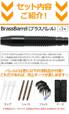 ★初心者向けダーツセット【 9点フルセットが＼今だけ799円／】！！ 充実した内容 バレル・フライト・シャフト・ティップ（チップ）付き