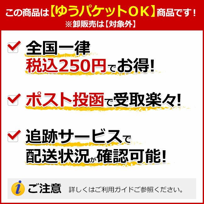 MISSION DARTS(ミッションダーツ) Solo Dart Flights Komodo スタンダード　(ダーツ フライト) 2