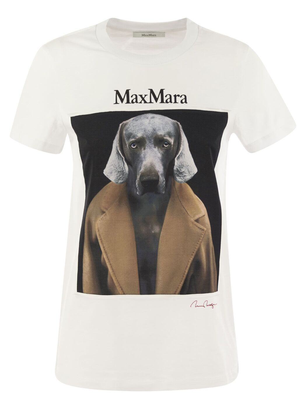 マックスマーラ 犬 置物 Max Maraで箱入り娘(イヌ)を購入 | エルメスに魅せられてAmeba