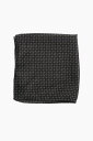 コルネリアーニ CORNELIANI ハイテクアクセサリー ファッション小物 メンズ Hi-Tech Accessories CC COLLECTION PATTERNED SILK POCKET SQUARE CC PATTERNED SQUARE POCKET SILK 関税 送料無料 ラッピング無料 2020SS dk