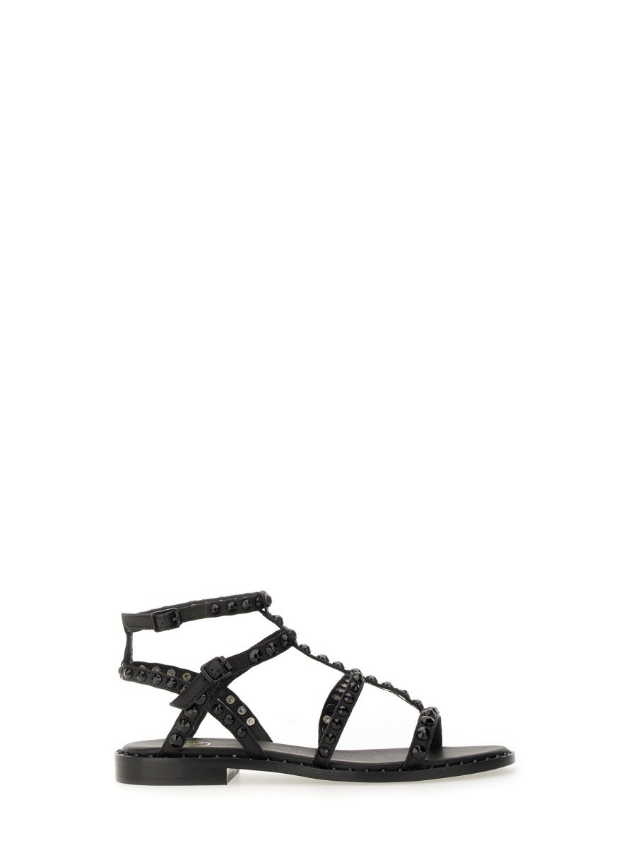 å ASH  ǥ ֥å Sandals 357740 BLACK  ̵ åԥ̵ 2025SS e...