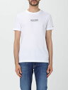 TOMMY HILFIGER トミー ヒルフィガー ホワイト White Tシャツ メンズ 春夏2024 MW0MW34387 【関税・送料無料】【ラッピング無料】 gi