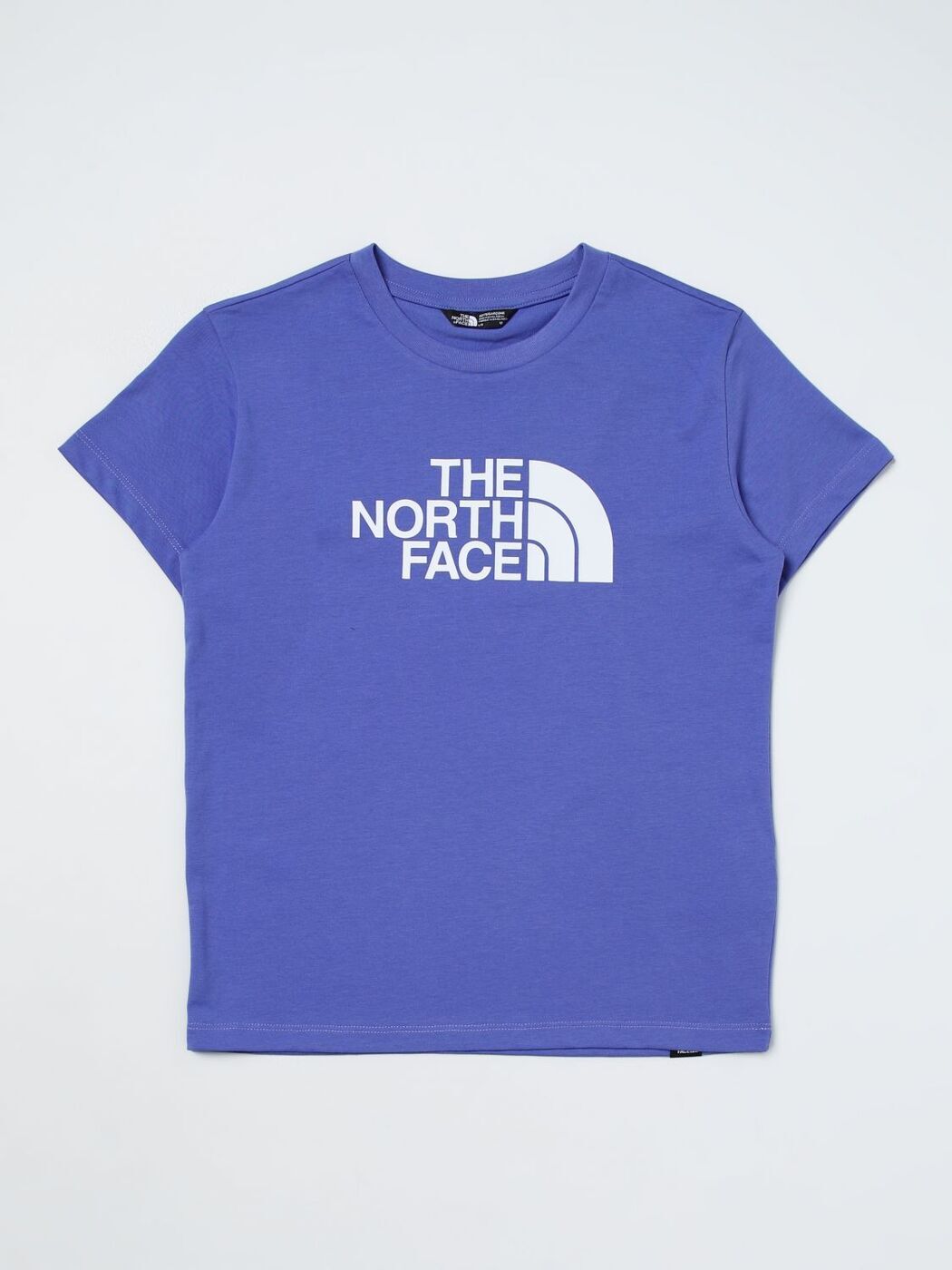 THE NORTH FACE Ρե T ܡ ղ2024 NF0A87T6 ڴǡ̵ۡڥåԥ̵ gi