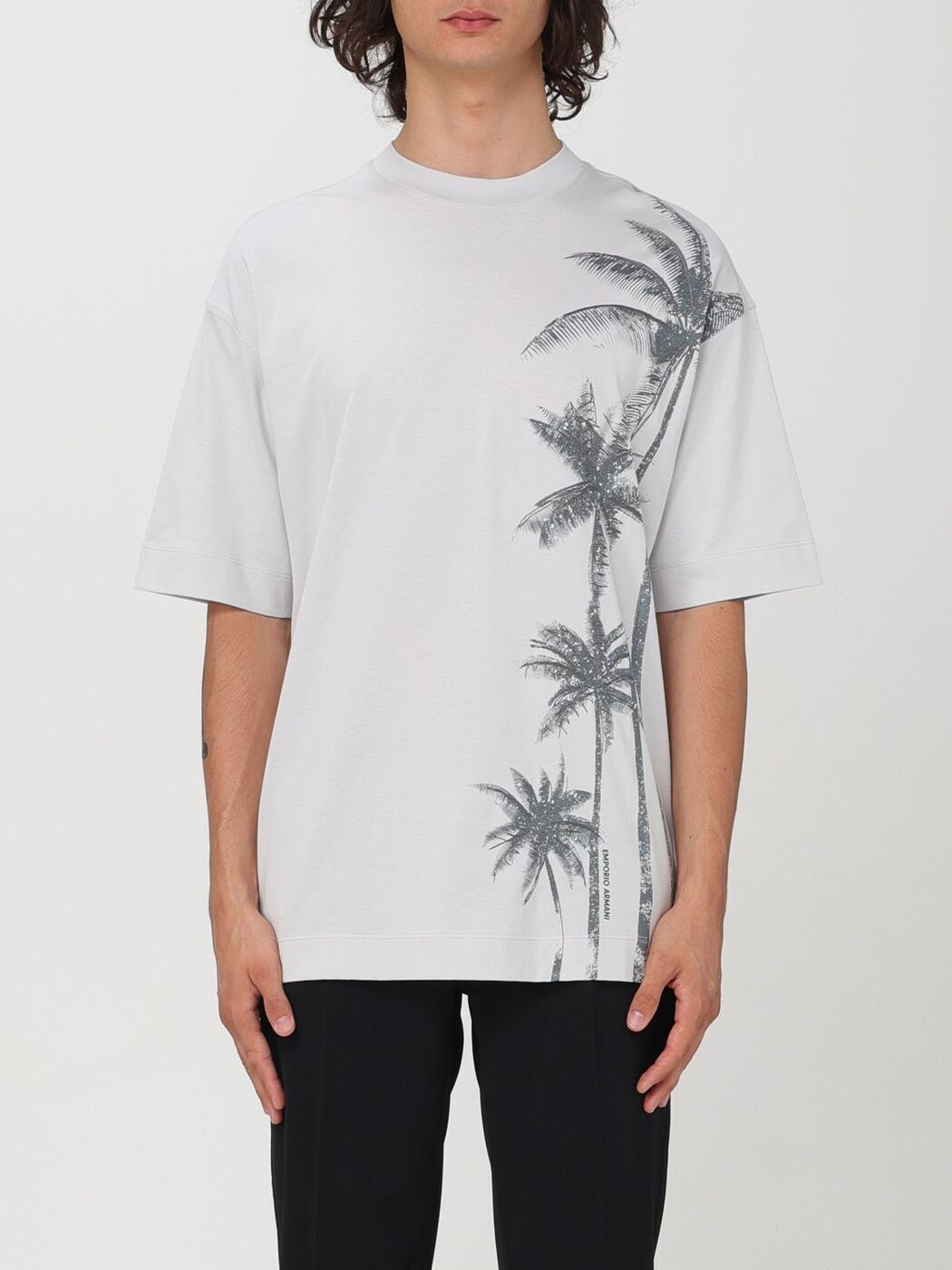 ݥꥪ ޡ EMPORIO ARMANI T  졼 T-shirts 3D1TH21JOCZ Grey  ...