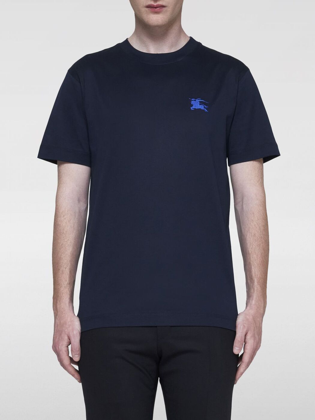 送料無料の通販 楽天市場】バーバリー ブルーレーベル メンズの通販 l tシャツ トップス