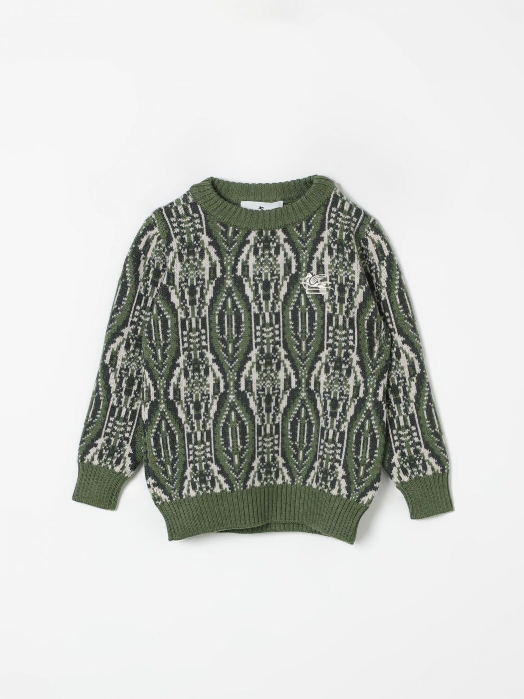 ȥ ETRO 롼ͥåѡ ˥åȥ ܡ ꡼ Crew neck jumpers GV9P20W0033 Gr...
