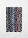 【三連休限定1000円OFF】 ミッソーニ MISSONI ハイテクアクセサリー ファッション小物 レディース マルチカラー Hi-tech accessories SA73WOD9847 Multicolor 関税 送料無料 ラッピング無料 2025AW gi