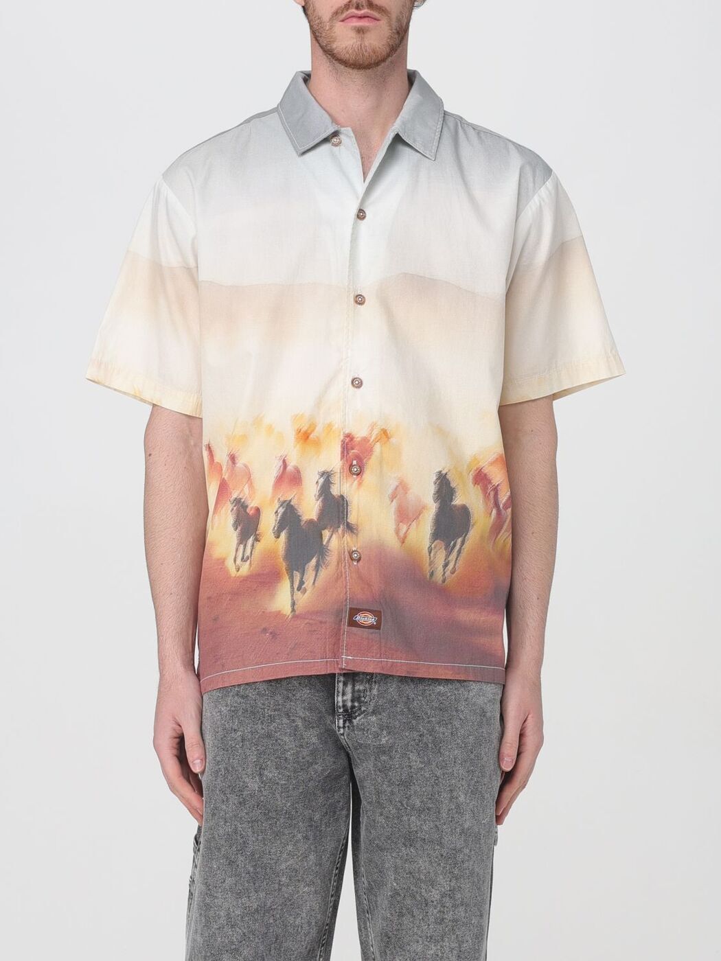 ǥå DICKIES   Shirts DK0A8676 Ivory  ̵ åԥ̵ 2025SS gi