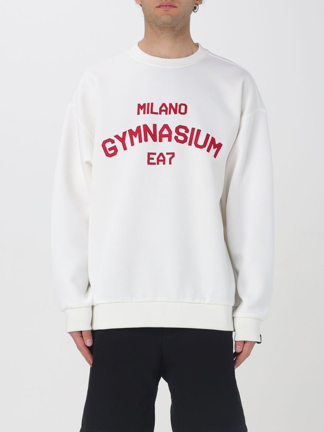 【EA7】4カラー ロゴ スウェット トレーナー / 送料無料 楽天市場】・logo7・(サイズ(S/M/L)L)(スウェット