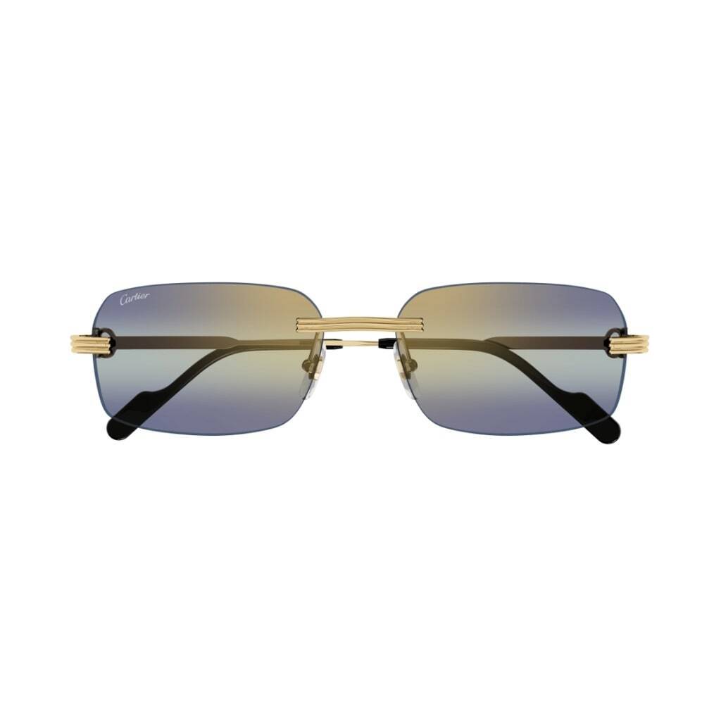 CARTIER EYEWEAR ƥ 󥰥饹ᥬ  ղ2024 CT0271S 006 ڴǡ̵ۡڥåԥ̵ ia