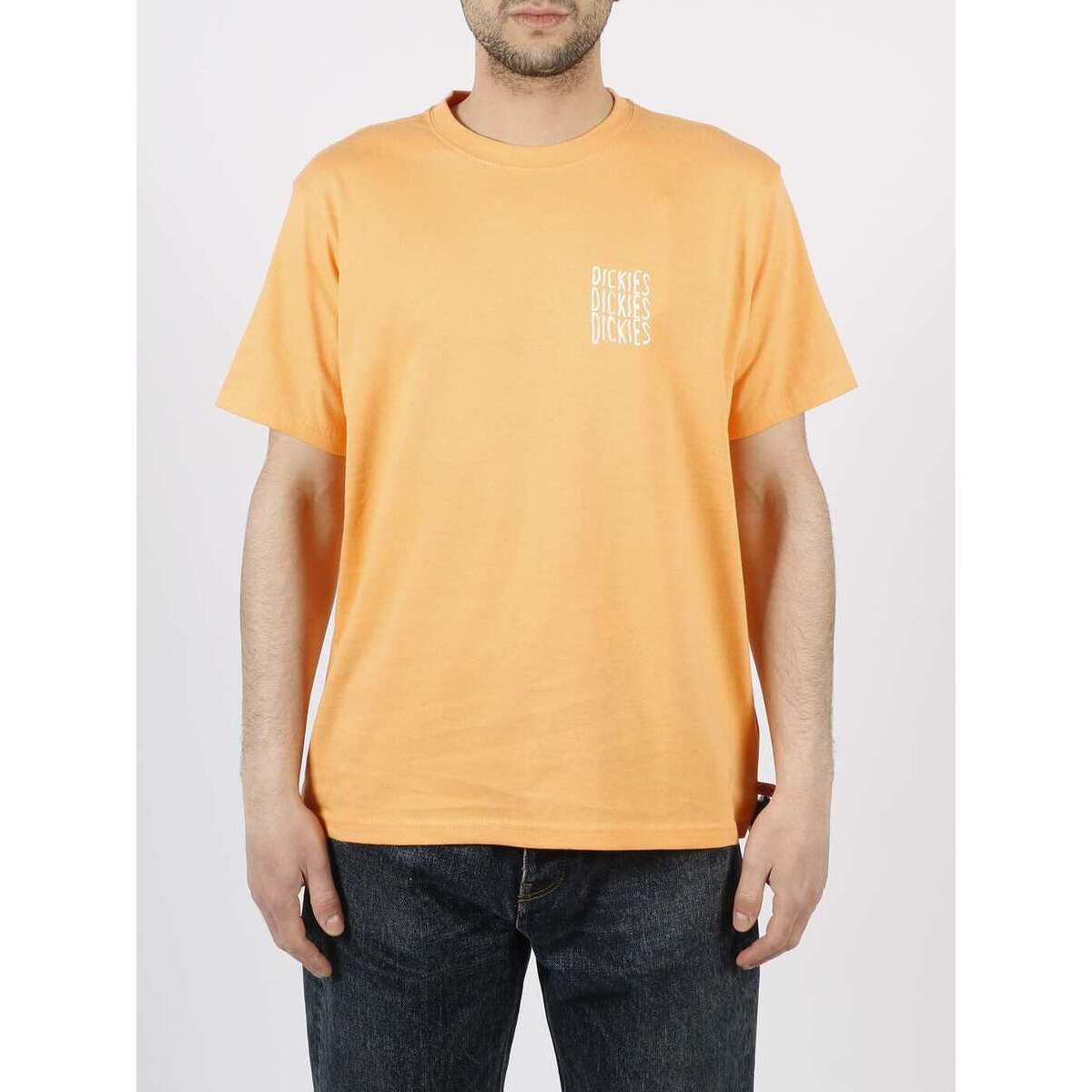 【毎月1日はエントリーでポイント3倍！】 DICKIES ディッキーズ Tシャツ メンズ 春夏2023 DK0A4Y8WE821..