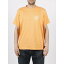 DICKIES ディッキーズ Tシャツ メンズ 春夏2023 DK0A4Y8WE821 E821 PAPAYA SMOOTHIE 【関税・送料無料..