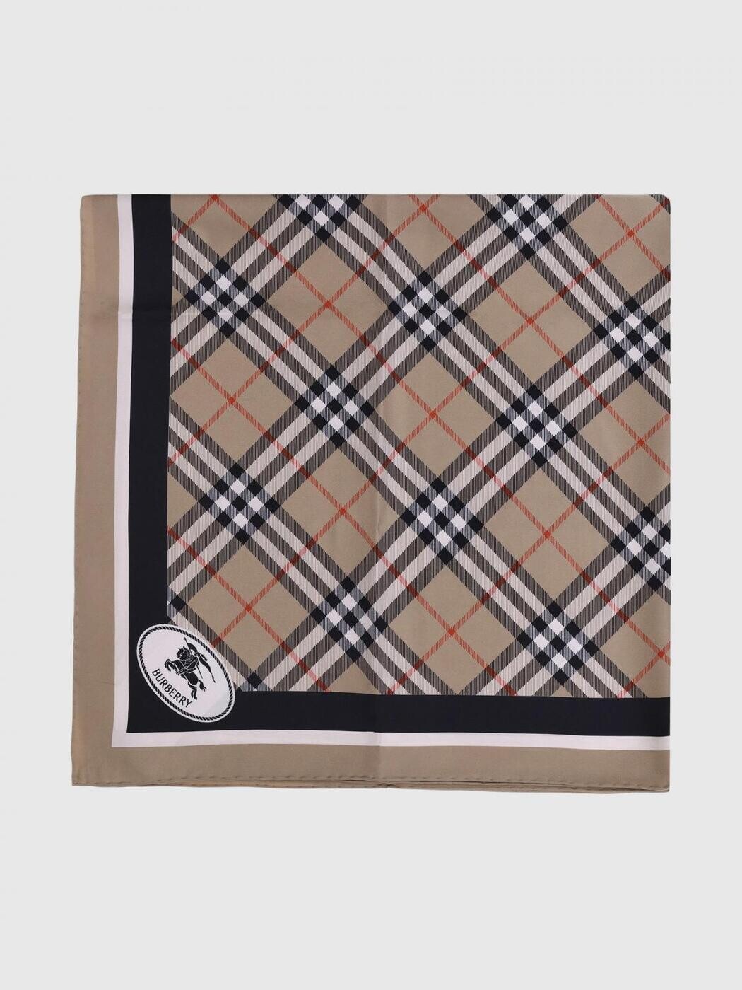 バーバリー BURBERRY ハイテクアクセサリー ファッション小物 レディース Hi-tech accessories 8113048 ~ Earth 関税 送料無料 2026SS gi courage-store-21829391 BRANDSHOP「il Tesoro」 パッケージ画像