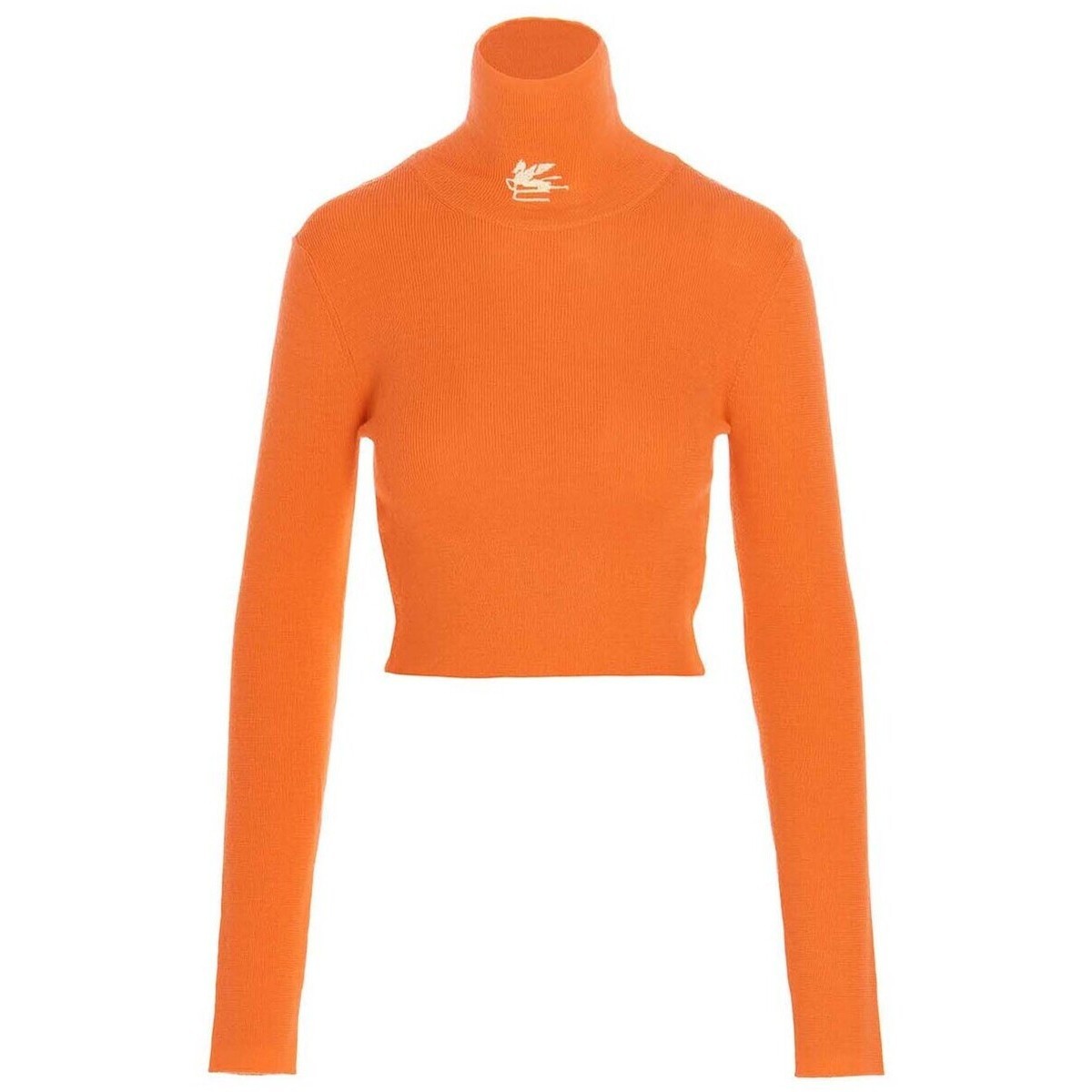 ETRO エトロ Orange Logo embroidery turtleneck sweater ニットウェア レディース 秋冬2022 137719133750 【関税・送料無料】【ラッピング無料】 ju