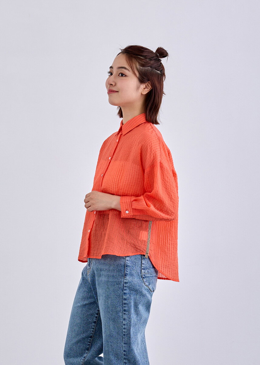 【SALE50%OFF】【2025Autumn】【即納】【LUIS MARI(ルイ マリ)】シャドー ストライプ ブラウス シャツ レディース トップス 長袖 ストライプシャツ フェミニン シースルー【2025aw新作】カジュアル 低身長 フレンチテイスト トレンド感 かわいい フェミニン