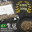 コーヒー 生豆 お得な 500g ブラジル トミオフクダ ドライオンツリー 珈琲 少量 グリーンコーヒー 自家焙煎に 真空パック