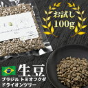 コーヒー お試し 生豆 100g ブラジル 