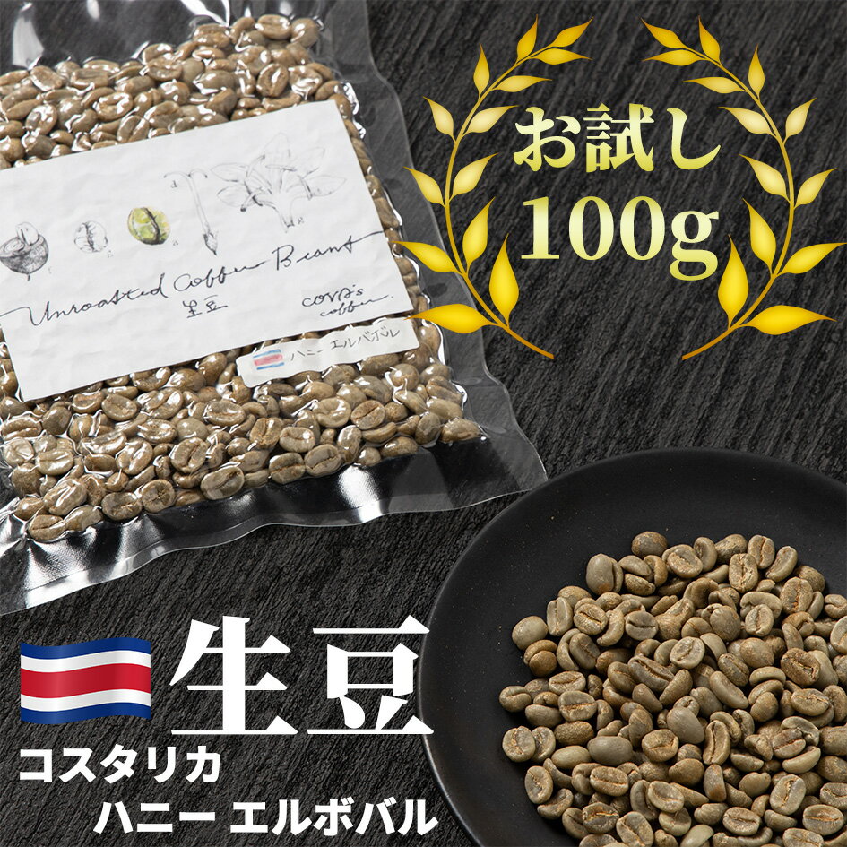 コーヒー 生豆 お試し 100g コスタリカ ハニーエルバボル 珈琲 少量 グリーンコーヒー 自家焙煎に 真空パック