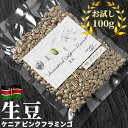 コーヒー 生豆 お試し 100g ケニア ピンクフラミンゴ 珈琲 少量 グリーンコーヒー 自家焙煎に 真空パック