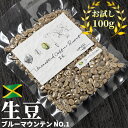 コーヒー 生豆 お試し 100g ジャマイカ ブルーマウンテン No1 珈琲 少量 グリーンコーヒー 自家焙煎に 真空パック