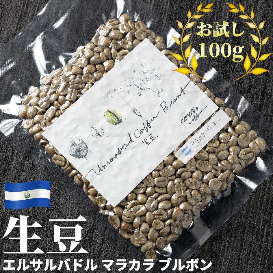 コーヒー 生豆 お試し 100g エルサル