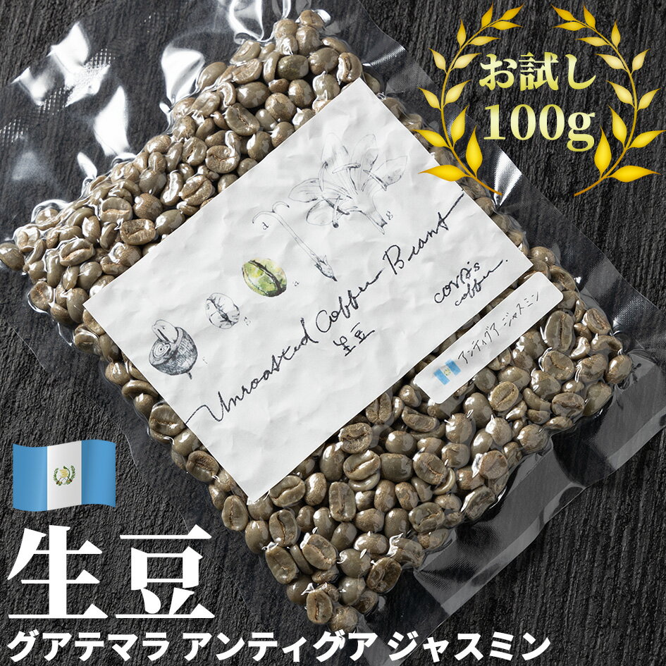 コーヒー 生豆 お試し 100g グアテマラ アンティグア ジャスミン 珈琲 コーヒー豆少量 グリーンコーヒー 自家焙煎に 真空パック