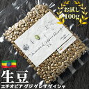 コーヒー 生豆 お試し 100g エチオピア グジ ゲレザ ゲイシャ 珈琲 コーヒー豆少量 グリーンコーヒー 自家焙煎に 真空パック