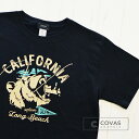 【SALE】【セール】　COVAS GRAPHIC Tシャツ カリフォルニアベアー ブラック 黒 301337-19 ユニセックス 半袖 プリントTシャツ アメリカ 熊 綿 デザイン コバスグラフィック その1