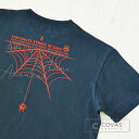 COVAS GRAPHIC Tシャツ 蜘蛛の糸 スチールブルー 303001-27 ユニセックス 半袖 プリントTシャツ クモ スパイダー 綿 デザイン コバスグラフィック