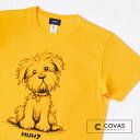 【SALE】【セール】 COVAS GRAPHIC Tシャツ