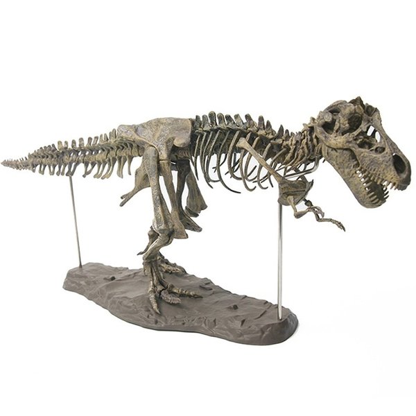 楽天WhiteSweeto o自分で組み立てる☆恐竜の模型 ビッグサイズ ティラノサウルス 化石 おもちゃ