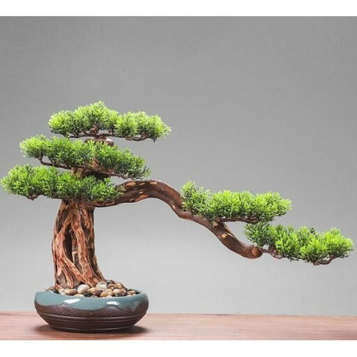 高級上質 珍品 迎客松盆栽 室内 置物 迎客松 禅意迎客松盆栽装飾品 花芸術 YYRA717 高級上質 珍品 迎客松盆栽 室内 置物 迎客松 禅意迎客松盆栽装飾品 花芸術 YYRA717