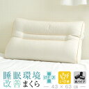 睡眠環境改善枕 抗菌 防臭 いびき枕 リビングインピース 43 × 63 cm いびき 枕 防止 まくら パイプ 炭 高さ調整 洗える 首 肩 こり 頚椎 横寝...