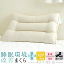 睡眠環境改善枕 抗菌 防臭 いびき枕 低め リビングインピース 43 × 63 cm いびき 枕 防止 まくら パイプ 炭 高さ調整 洗える 首 肩 こり 頚椎...