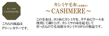 西川 カシミヤ毛布 シングル（毛羽部分カシミヤ100％） グリーンラベル タテ糸ウール100％使用 ［柄色々］【 京都西川 日本製 ローズ毛布 ローズカシミヤ 毛布 純毛毛布 軽量 軽い 毛布 温かい あたたかい 暖かい あったかい 140×200cm ベージュ BE 】