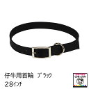 仔牛用首輪 ブラック (28インチ/71cm) 【酪農用品 畜産用品】