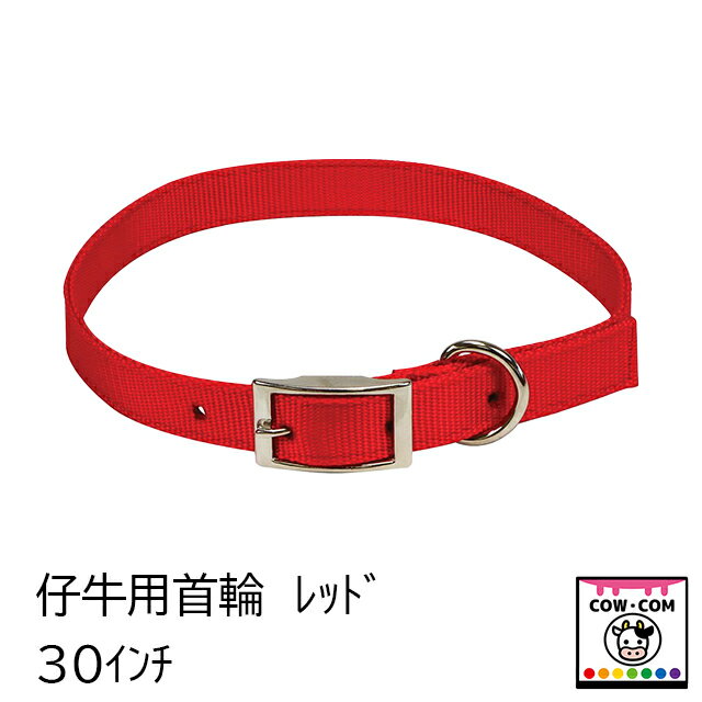 仔牛用首輪　レッド　（30インチ/76cm）　【酪農用品 畜産用品】