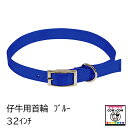 仔牛用首輪 ブルー (32インチ/81cm) 【酪農用品 畜産用品】